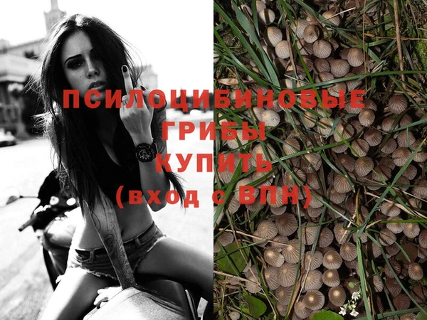 2c-b Кукмор