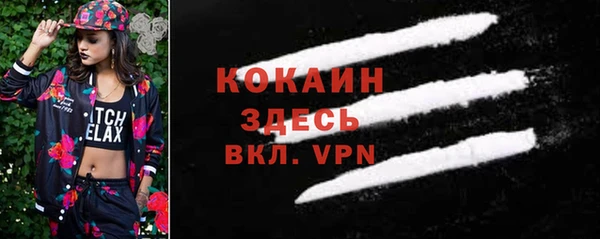 спайс Кулебаки