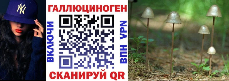 Псилоцибиновые грибы прущие грибы  Купить закладки  Гаврилов-Ям 